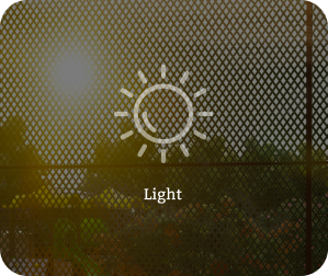 Light